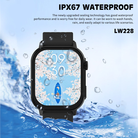 Lenyes LW-228